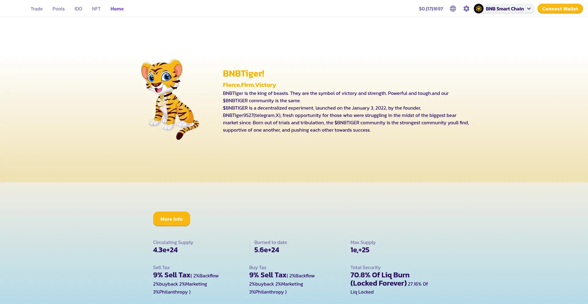 Website screenshot of Bnbtiger.top
