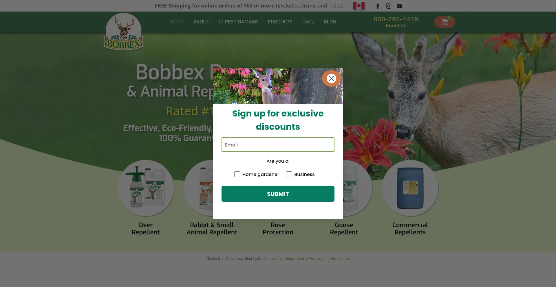 Bobbex.com
