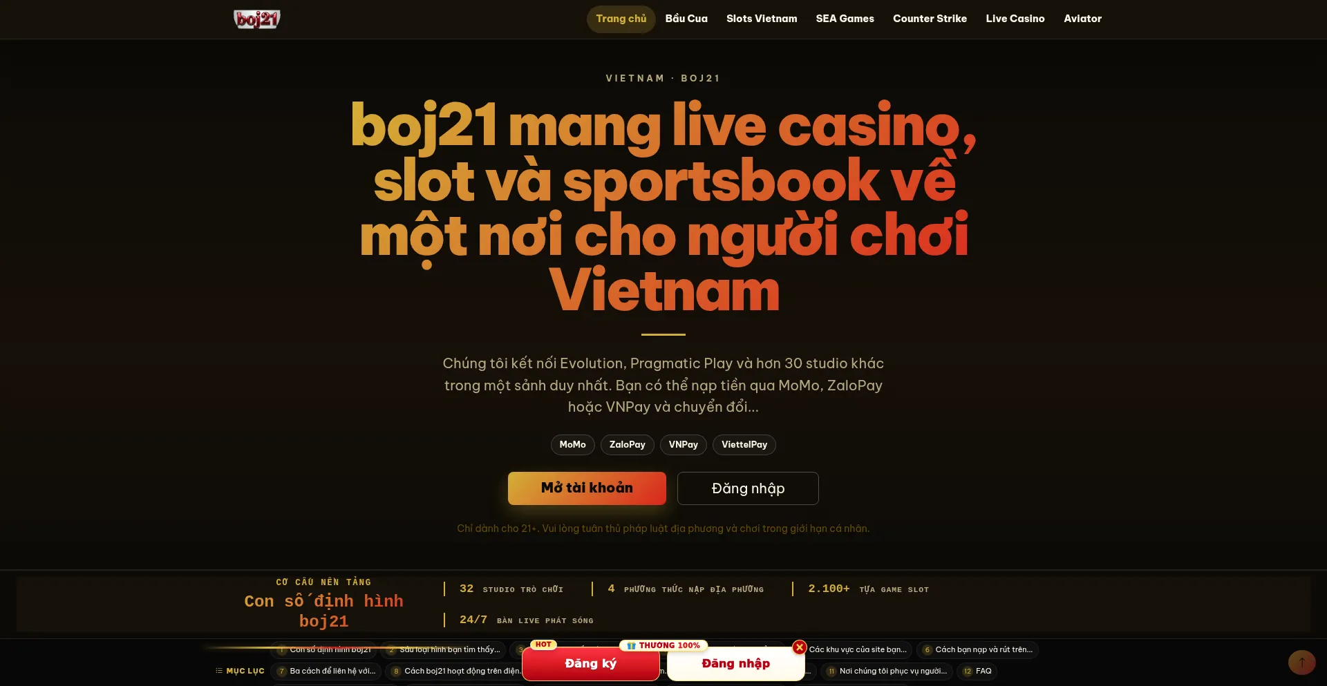 Boj21.pro