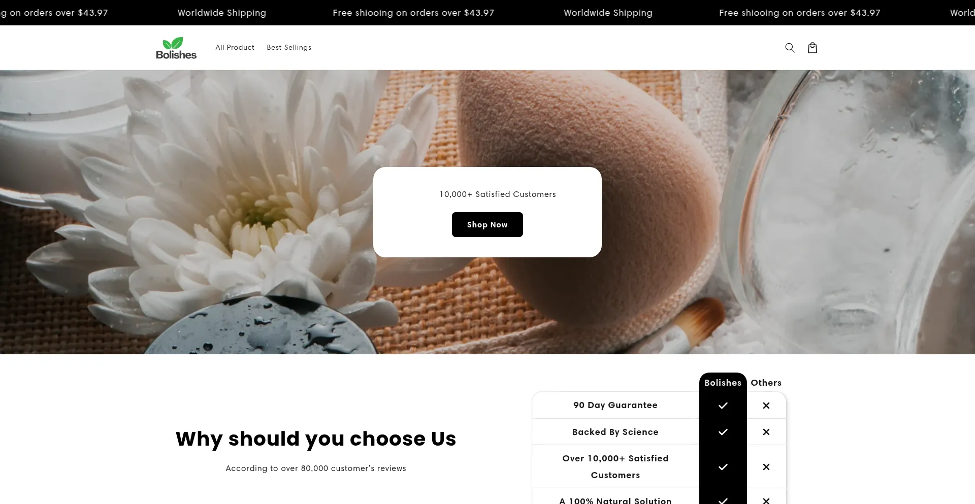 Website screenshot of Bolishes-store.com