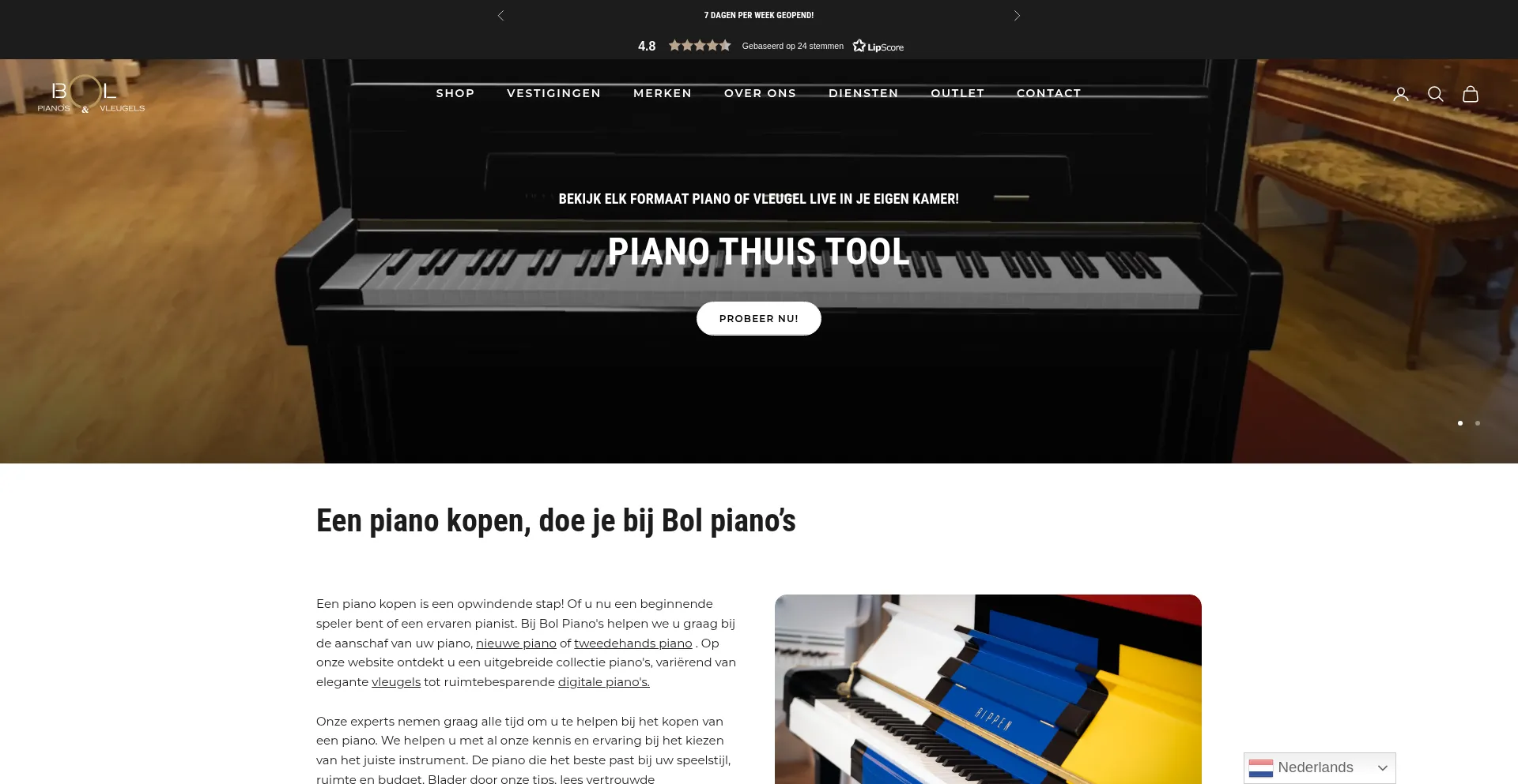 Website screenshot of Bolpianos.com