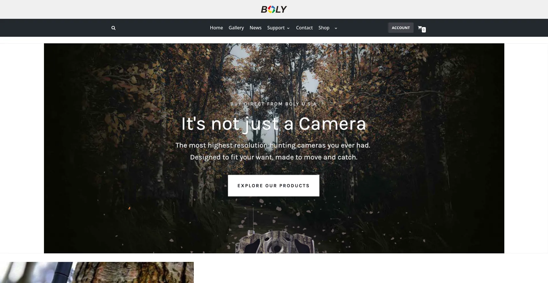 Website screenshot of Bolyinc.com