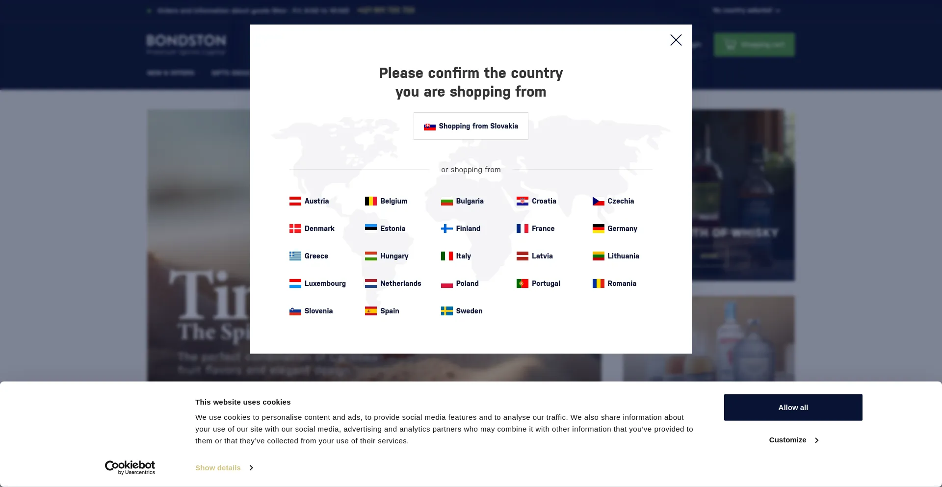 Website screenshot of Bondston.com