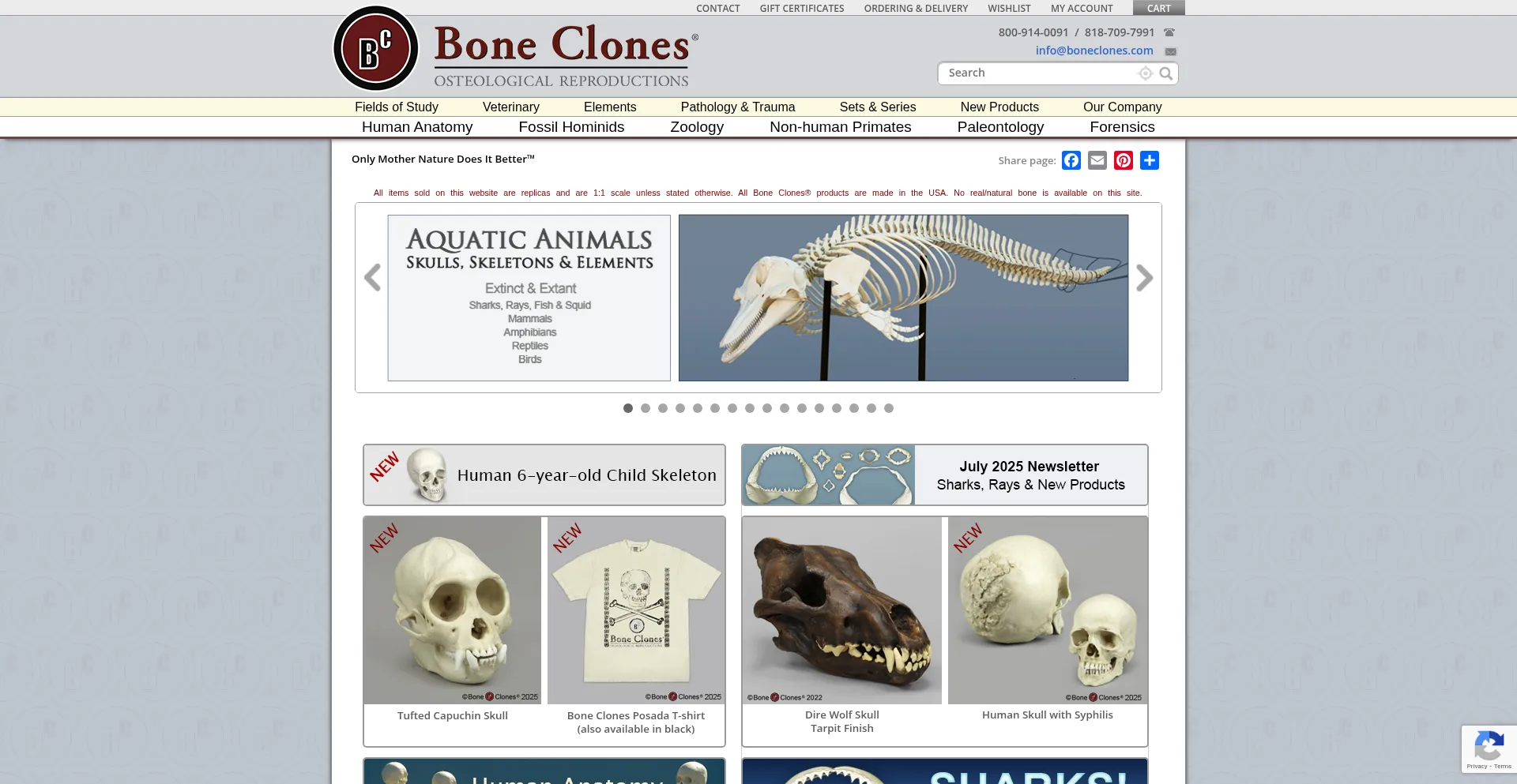 Website screenshot of Boneclones.com