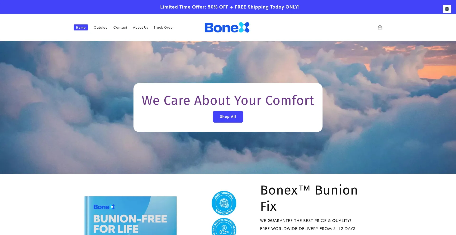 Website screenshot of Bonexcompany.com