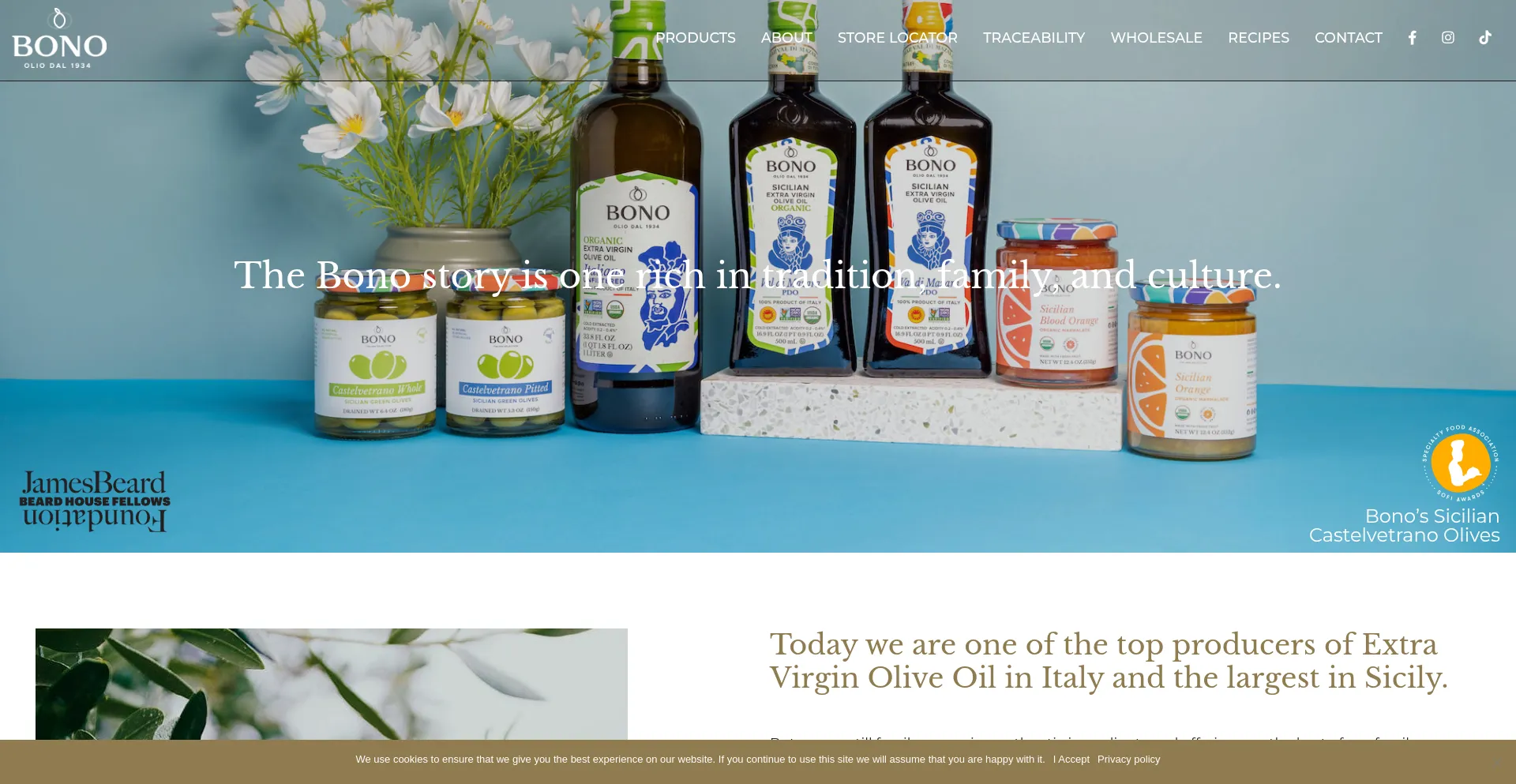 Website screenshot of Bonousainc.com