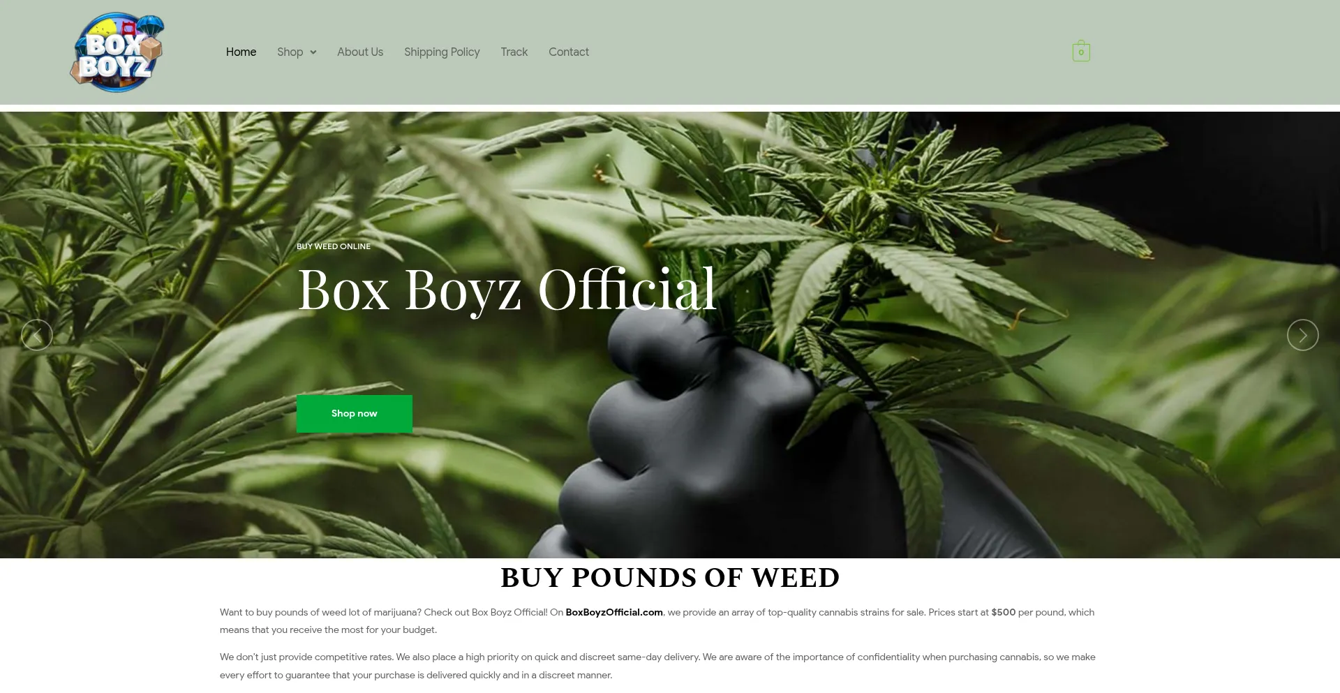 Website screenshot of Boxboyzofficial.com
