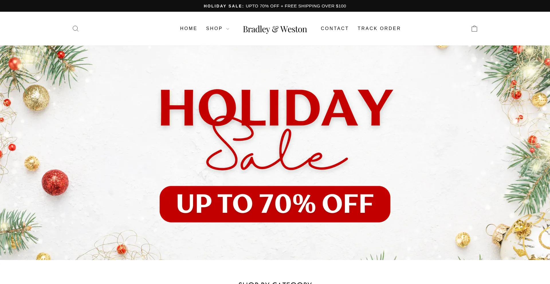 Website screenshot of Bradley-weston.com