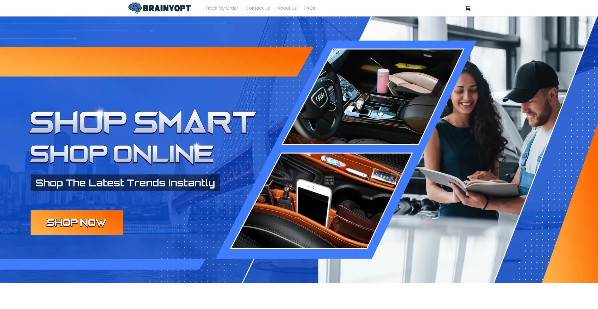 Website screenshot of Brainyopt.com