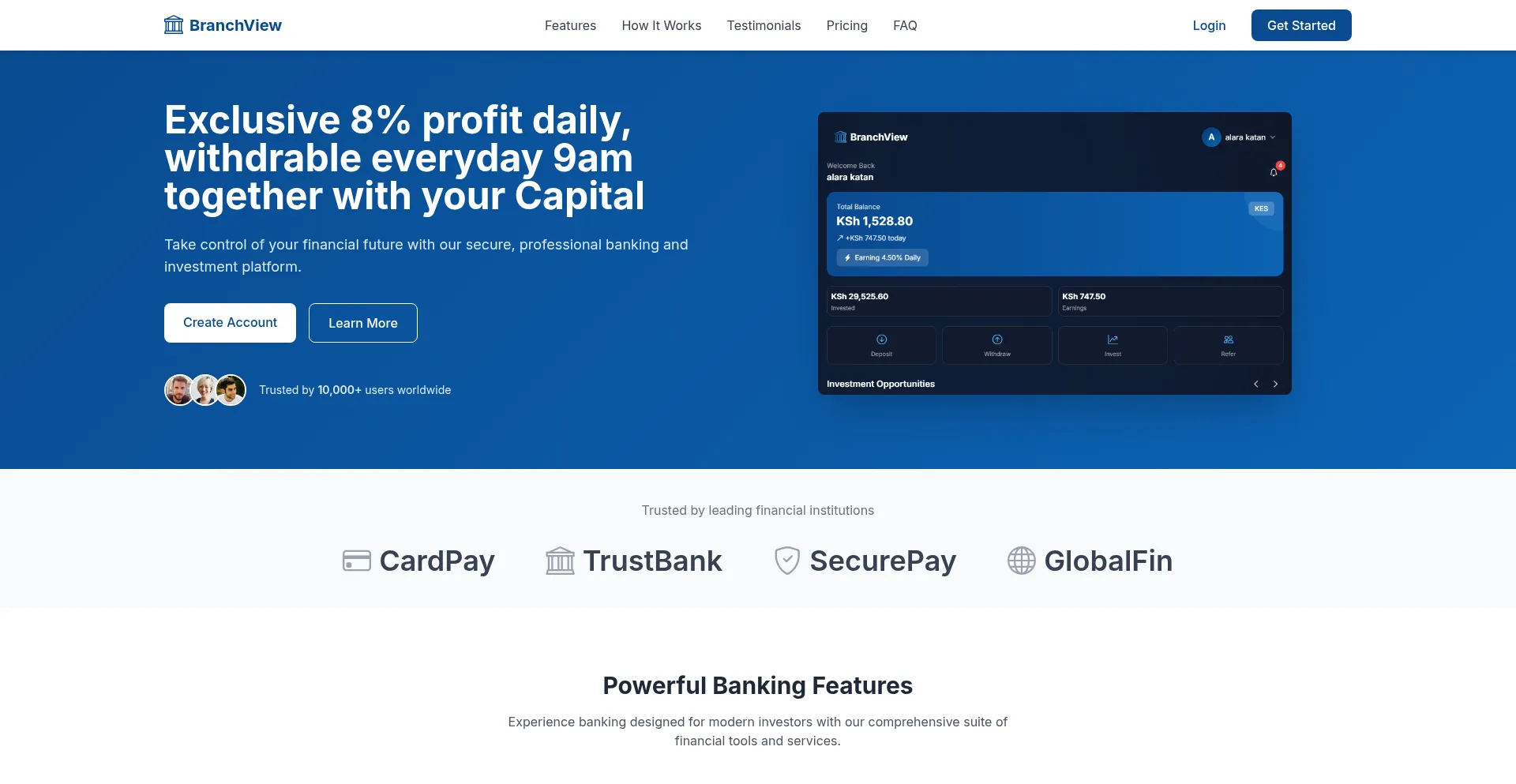 Website screenshot of Branchviews.com