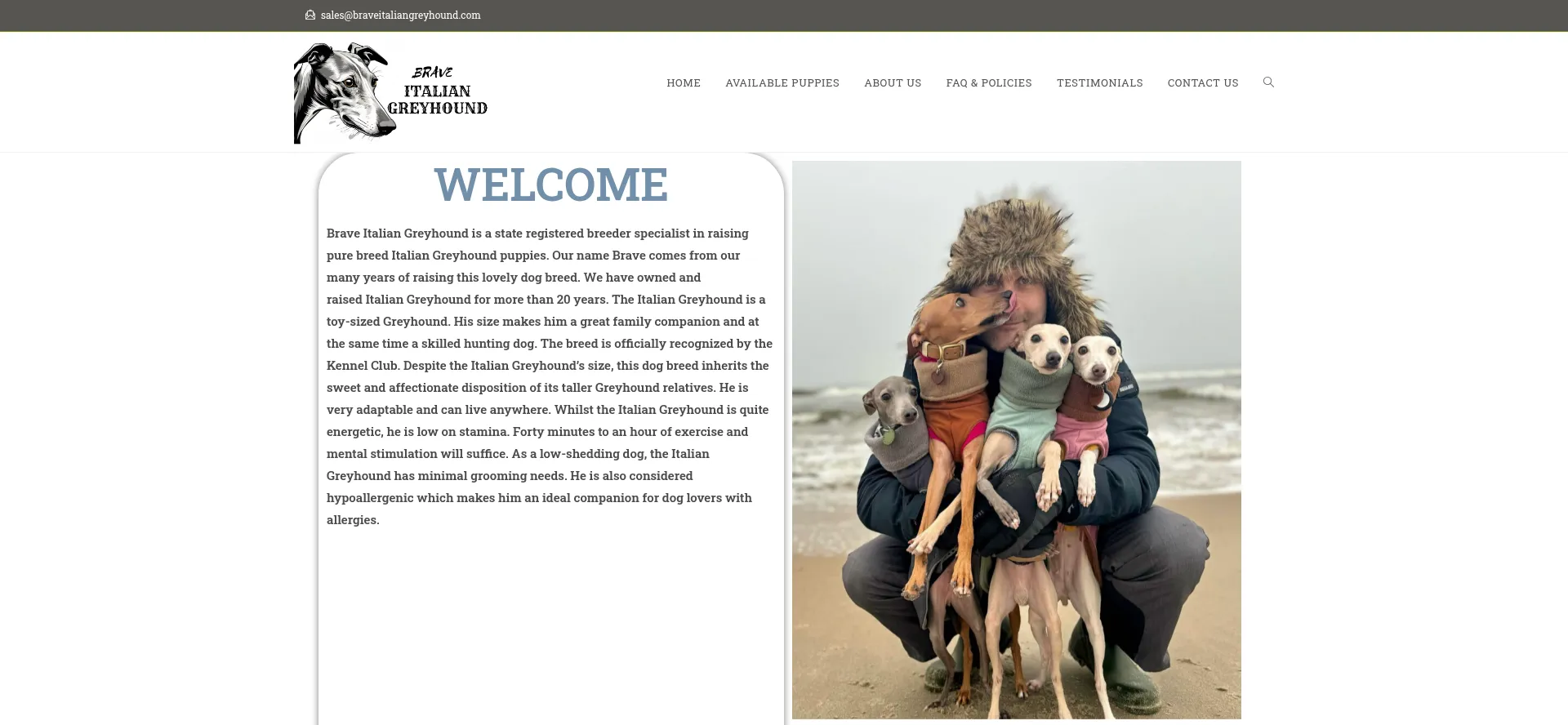 Braveitaliangreyhound.com