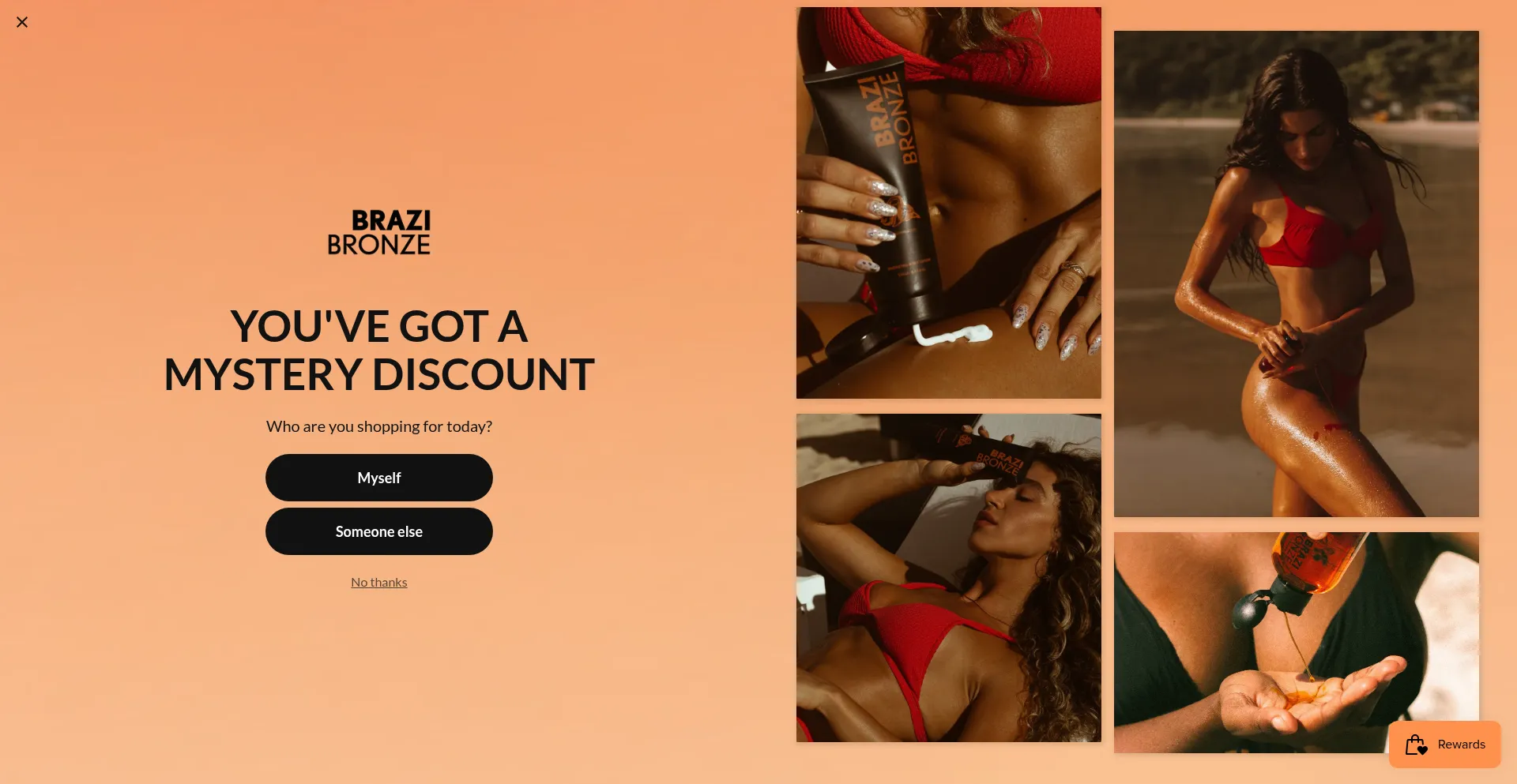 Brazibronze.com
