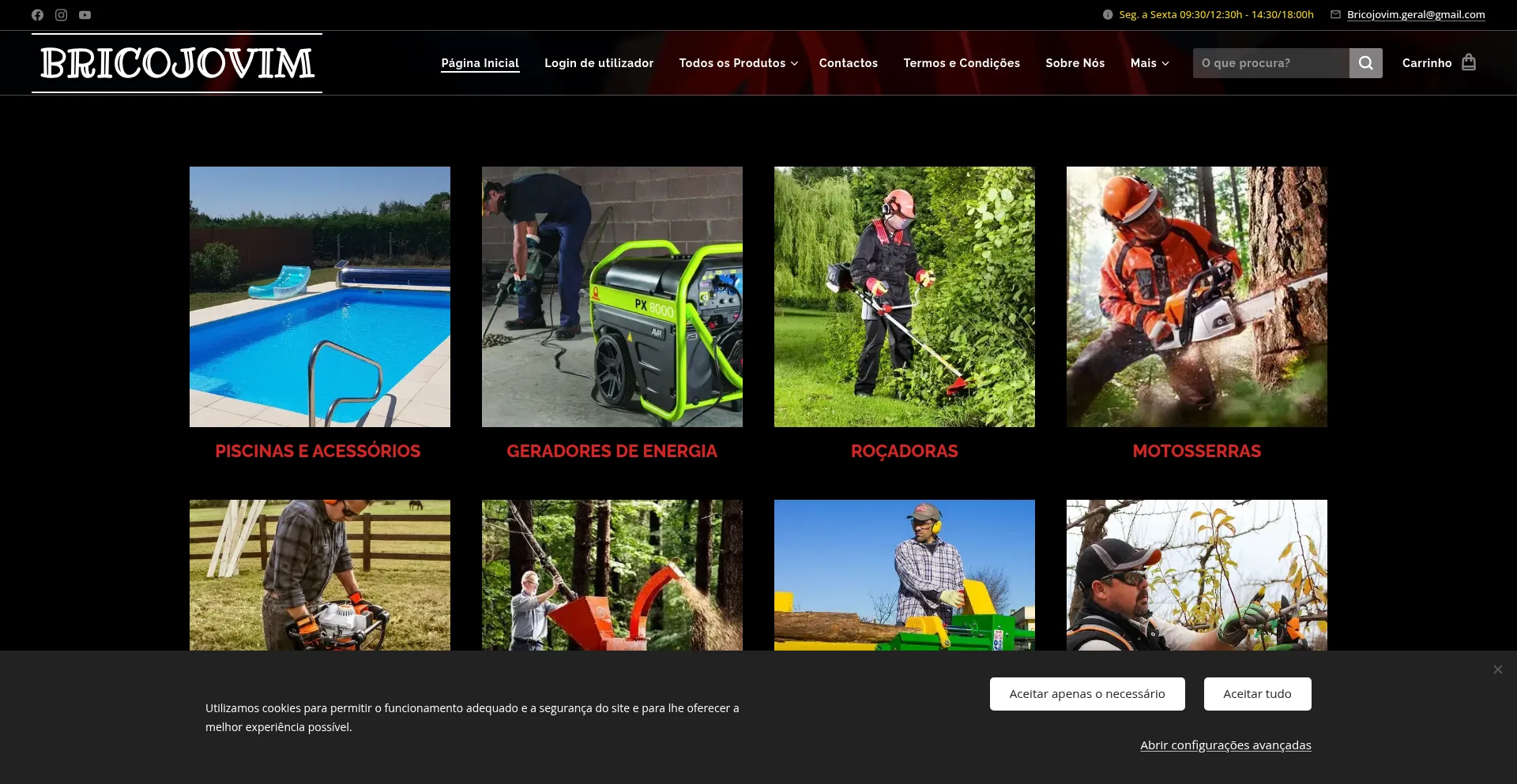 Website screenshot of Bricojovim.pt
