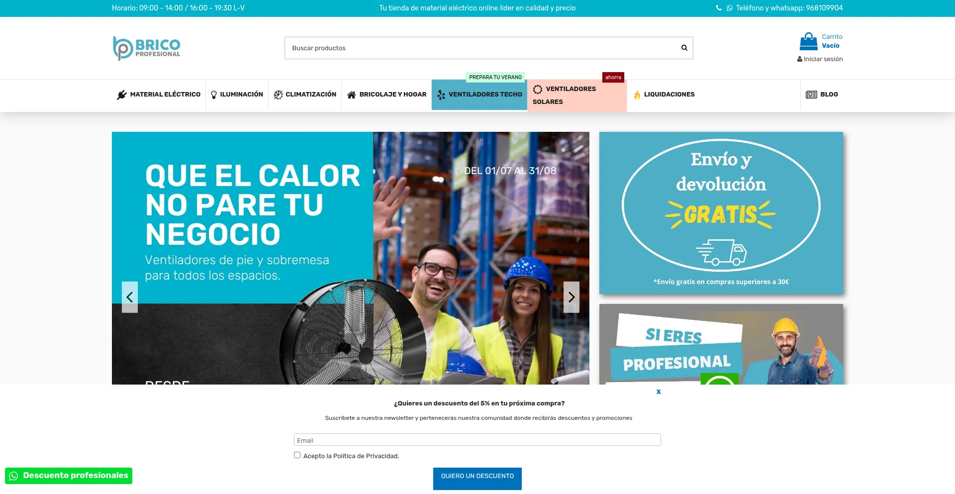 Website screenshot of Bricoprofesional.com