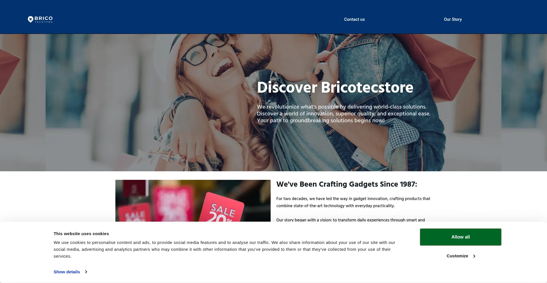 Website screenshot of Bricotecstore.com