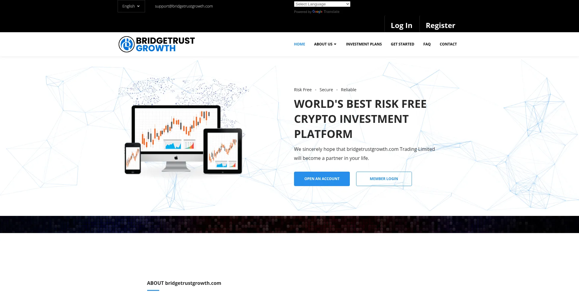 Website screenshot of Bridgetrustgrowth.com