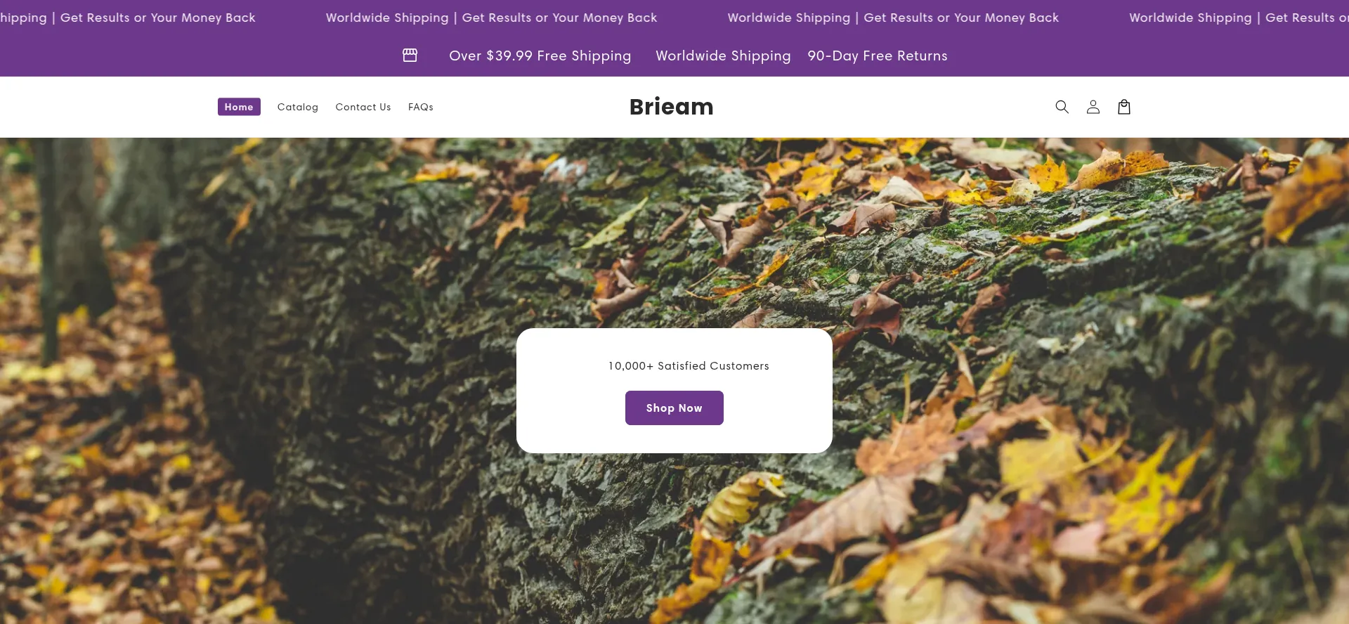 Brieam.com