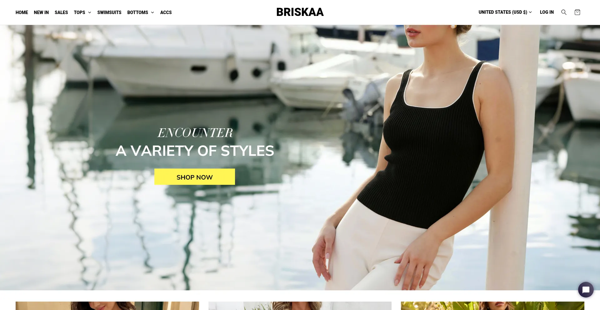 Website screenshot of Briskaa.com