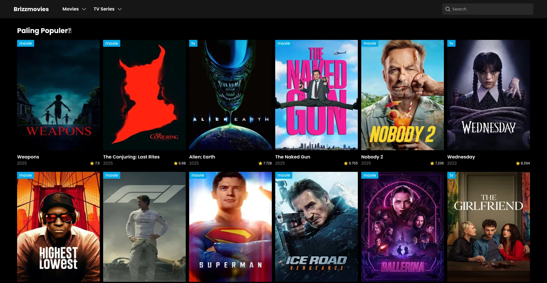 ¿És Seguro y Confiable Brizzmovies.com?