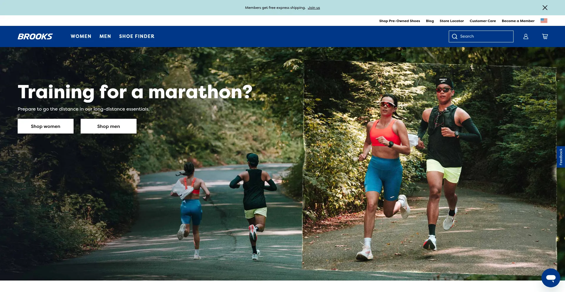 Website screenshot of Brooksguru.com