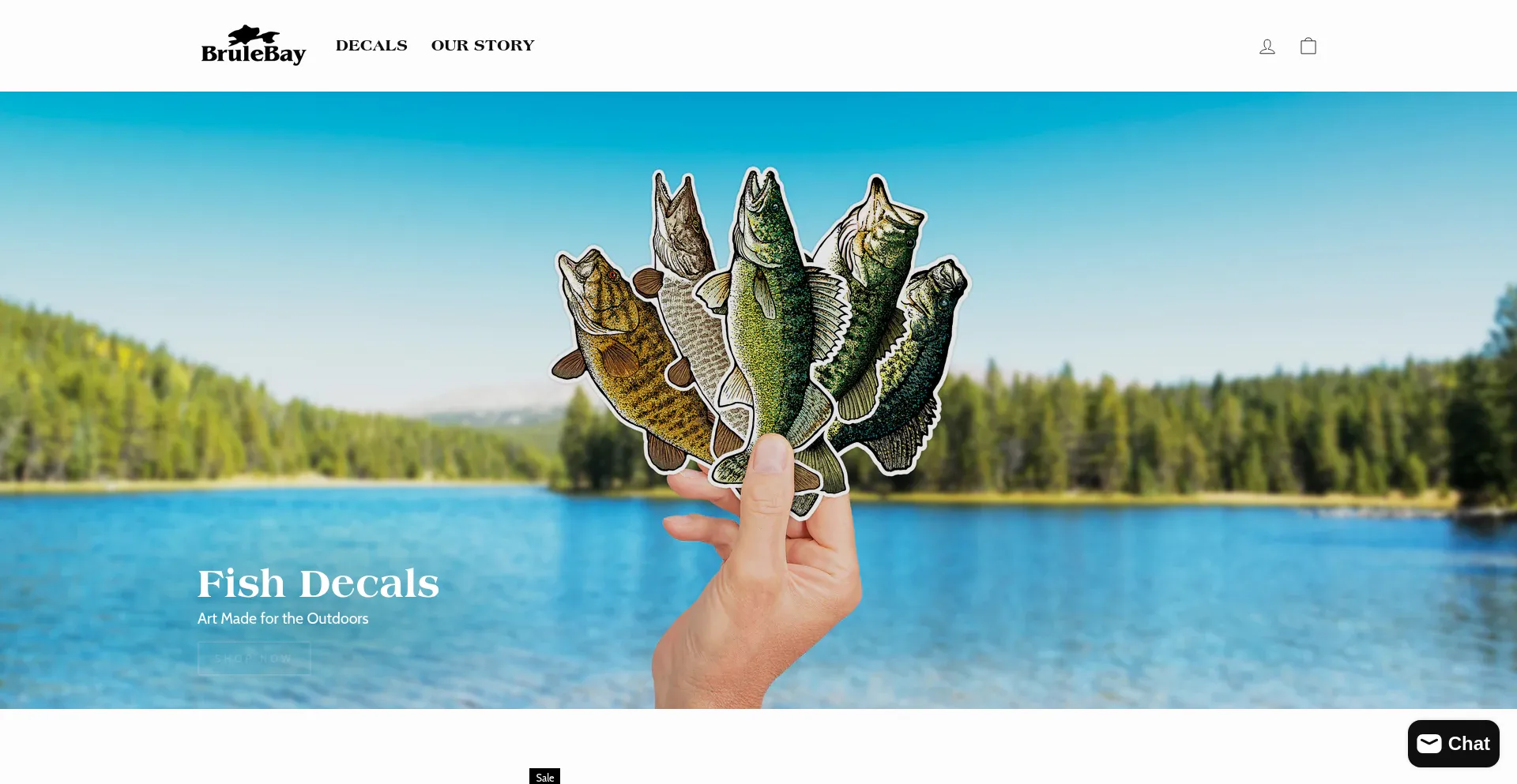 Website screenshot of Brulebay.com