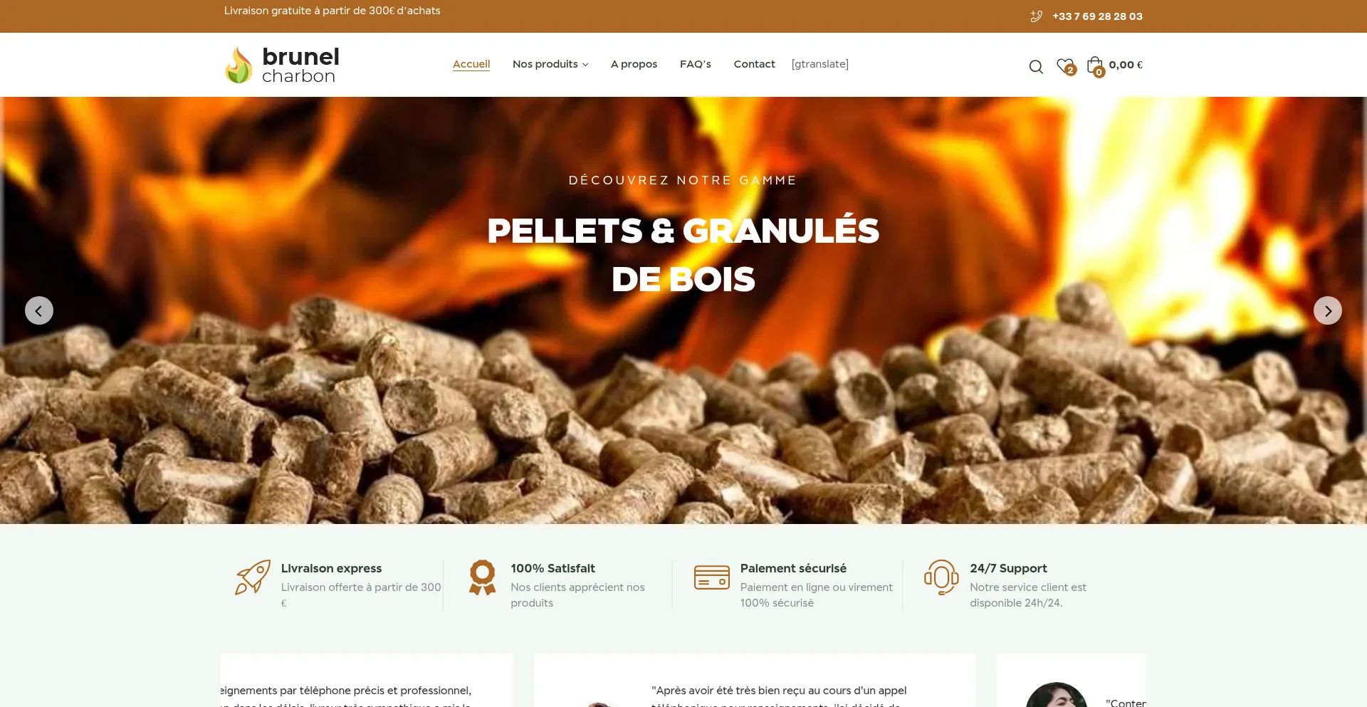 Website screenshot of Brunel-charbon.com