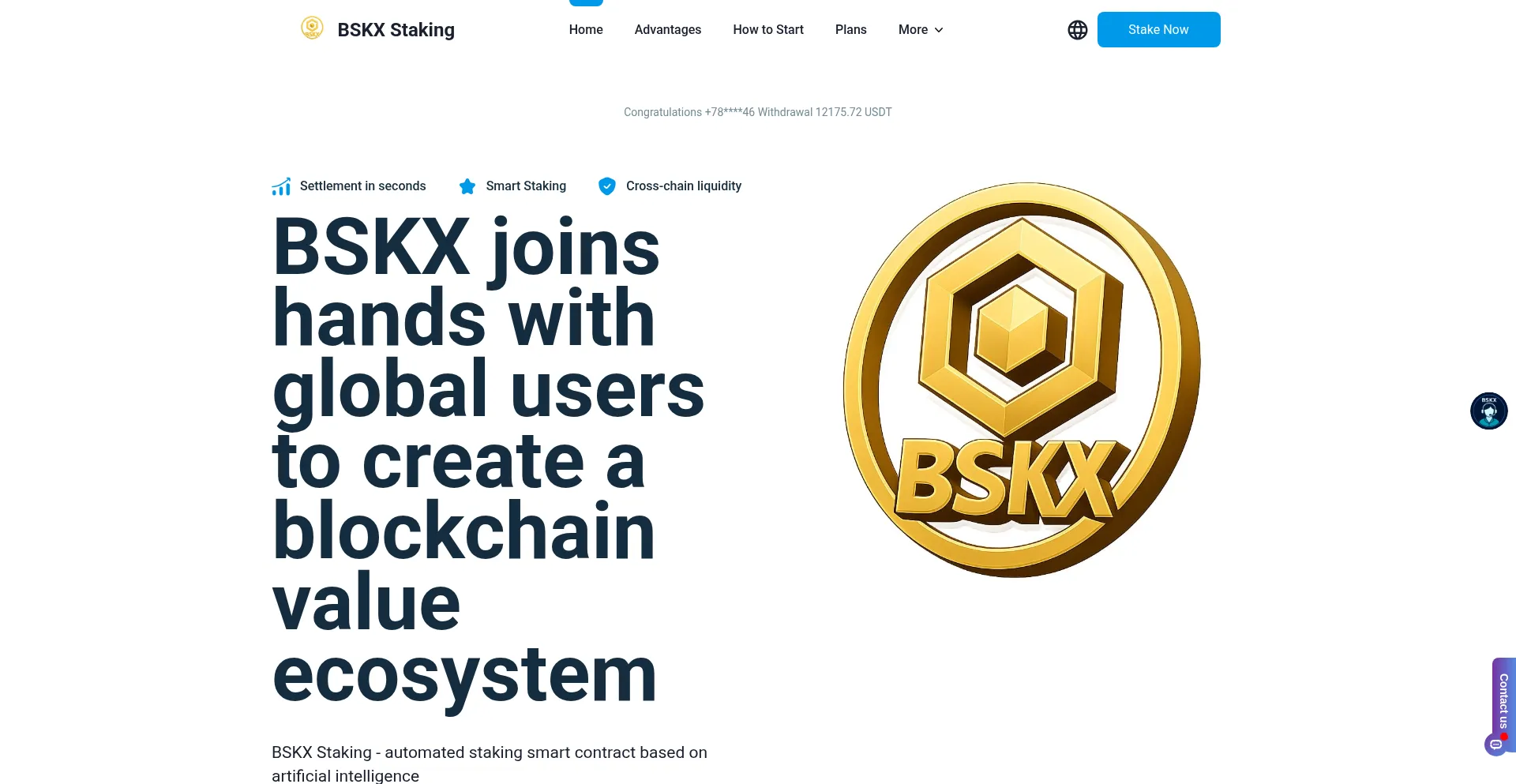 Website screenshot of Bskx.cc