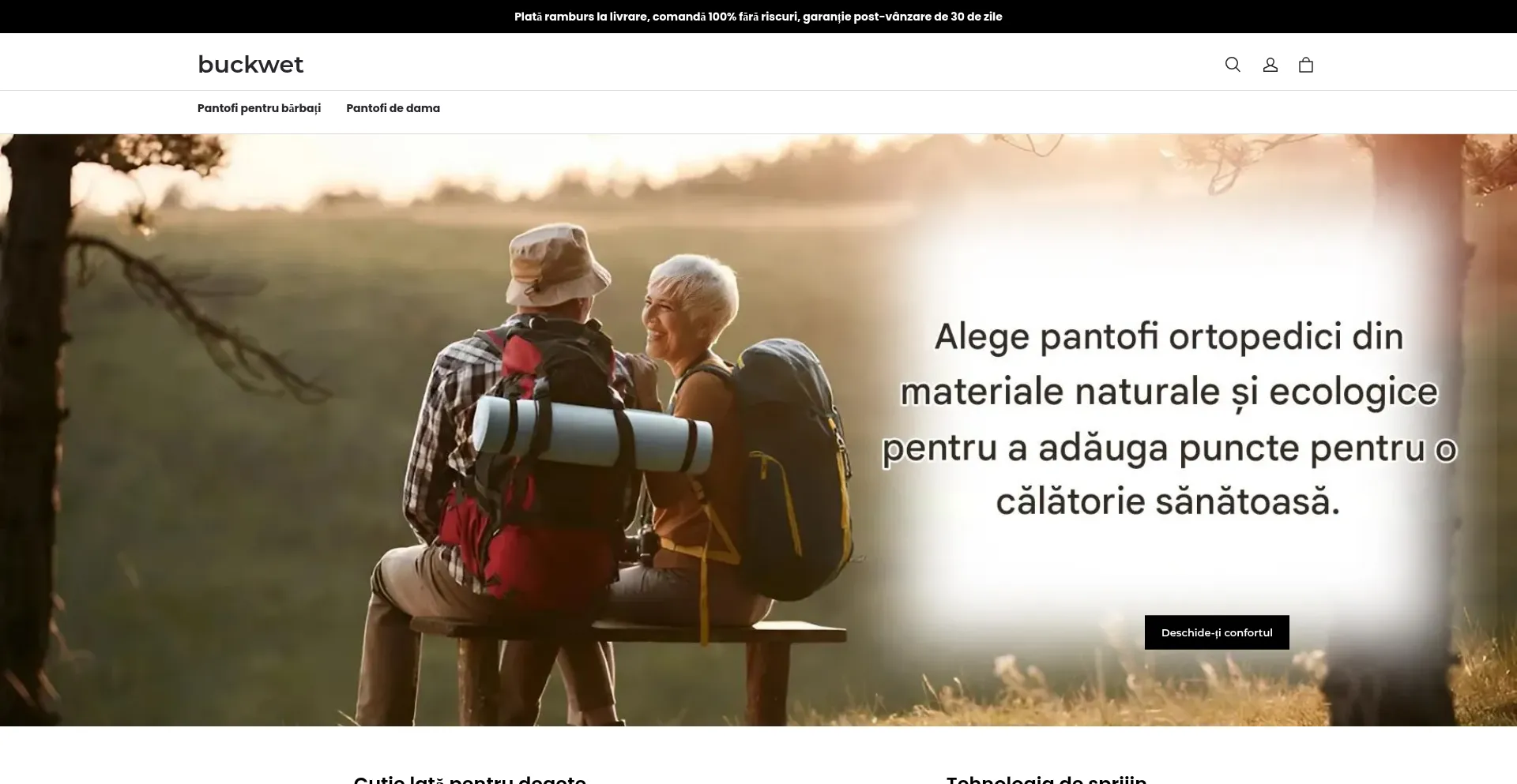 Website screenshot of Buckwet.com