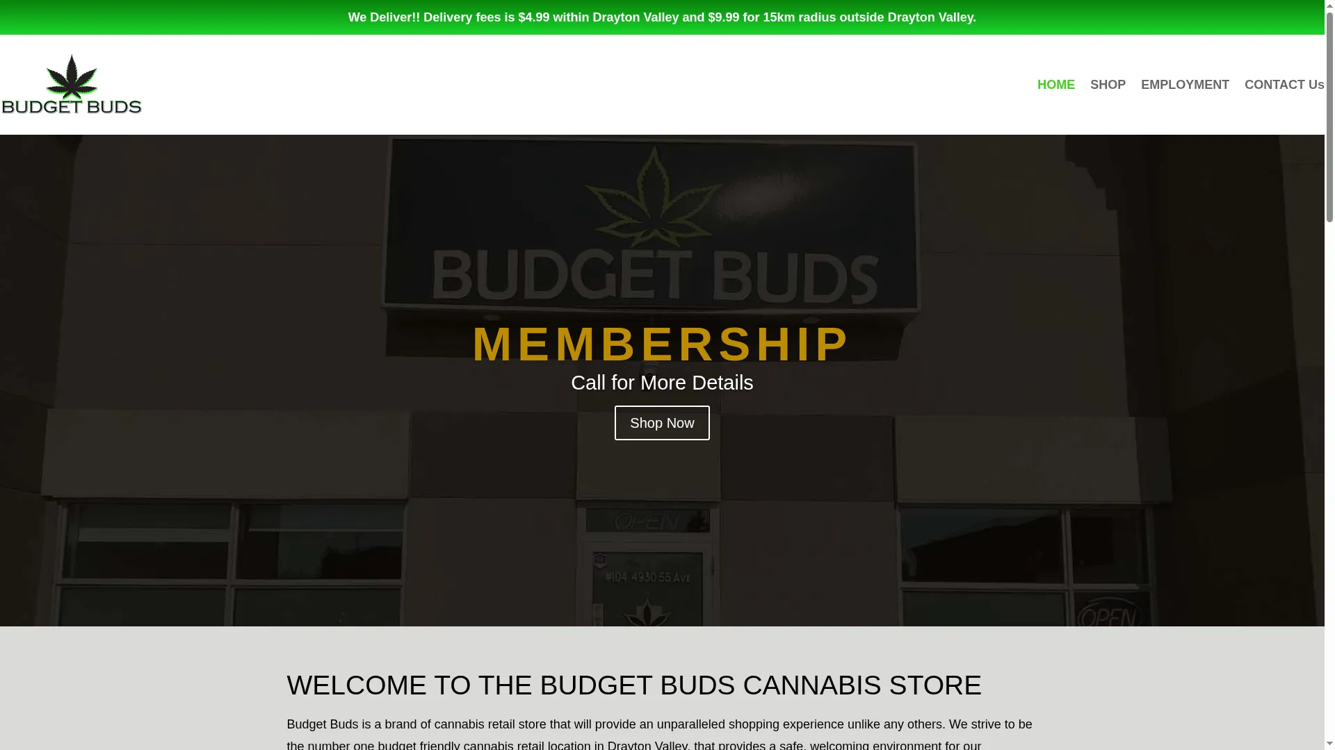 Budgetbudsdv.com