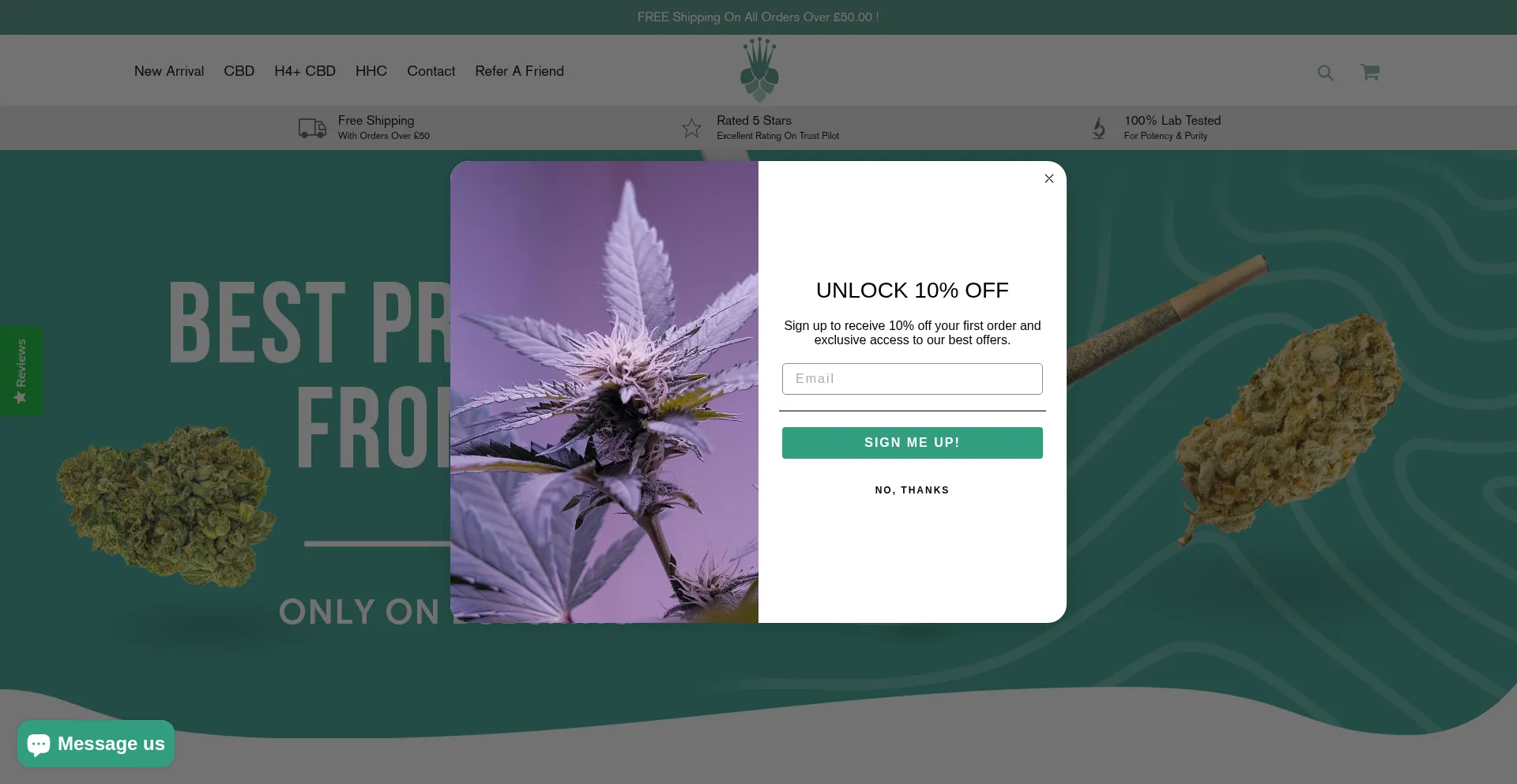 Website screenshot of Budsking.com