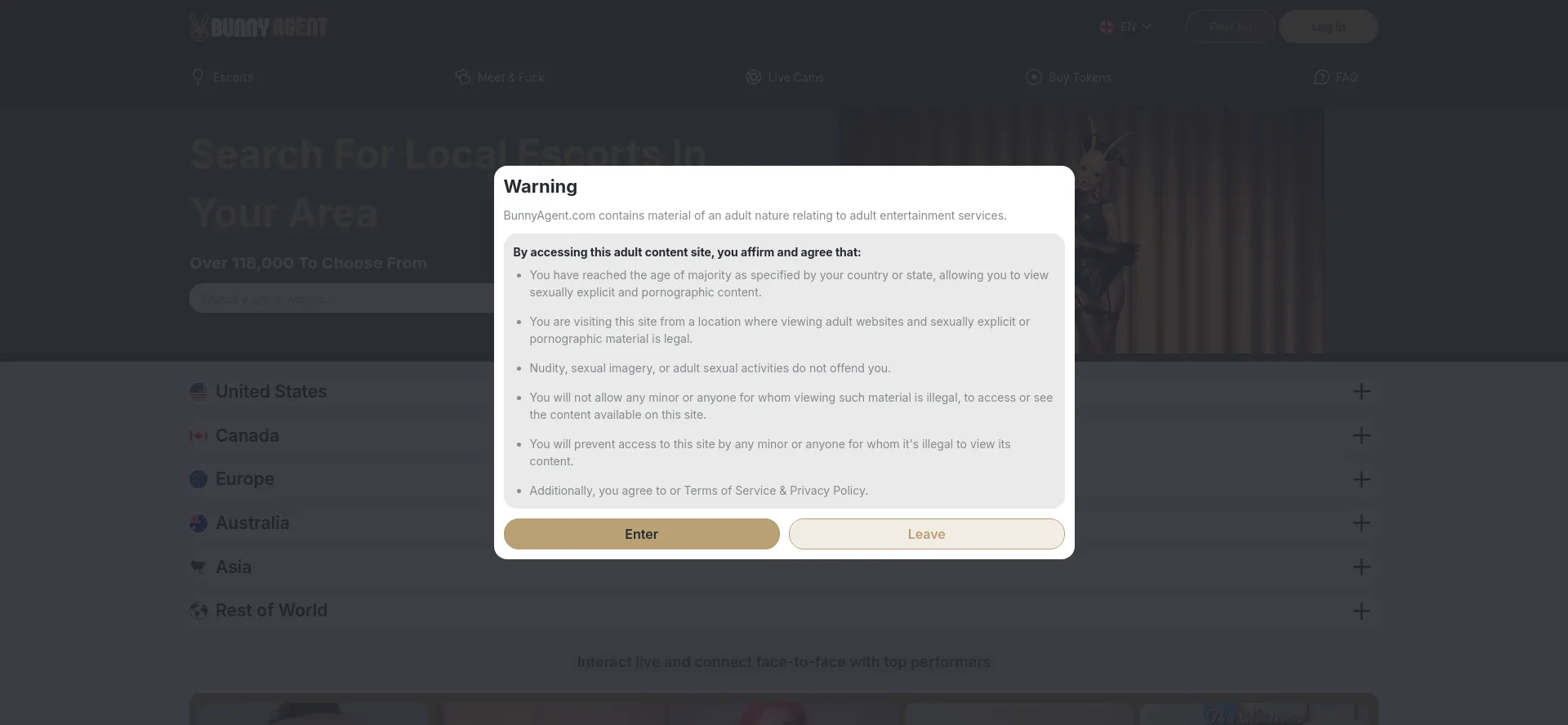 Website screenshot of Bunnyagent.com