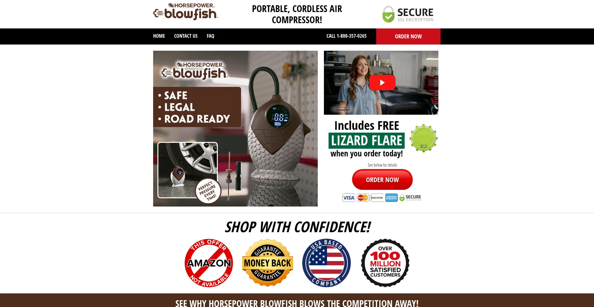 Website screenshot of Buyblowfish.com