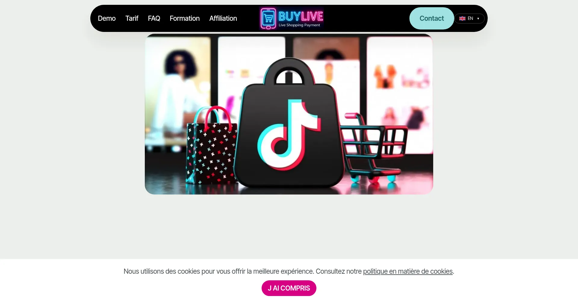 ¿És Seguro y Confiable Buylive.fr?