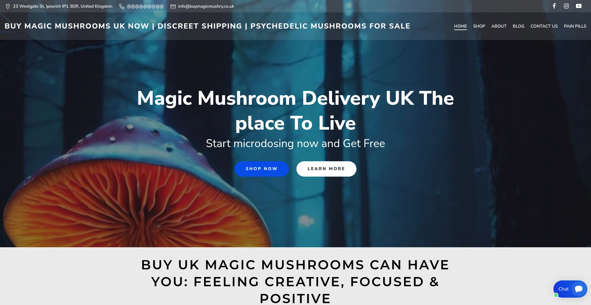 Website screenshot of Buymagicmushry.co.uk