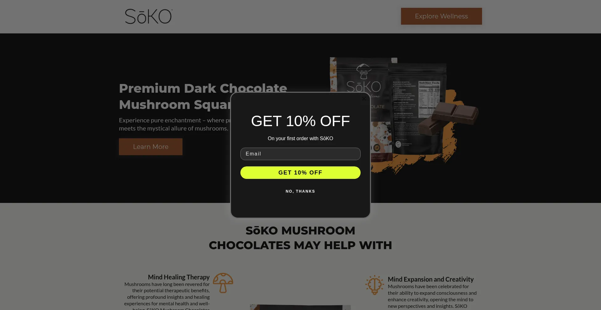 Website screenshot of Buysokocanna.com