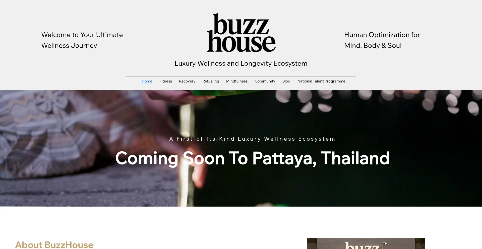 Website screenshot of Buzzhouse.club