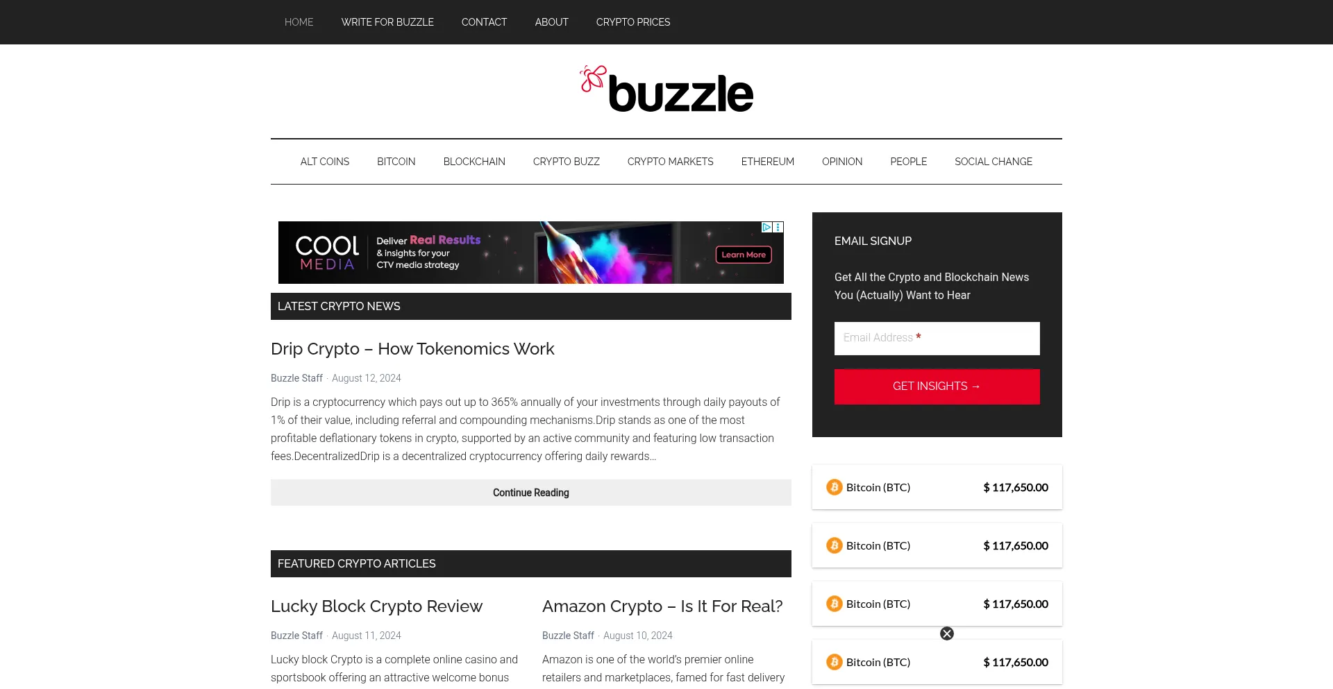 Website screenshot of Buzzle.com