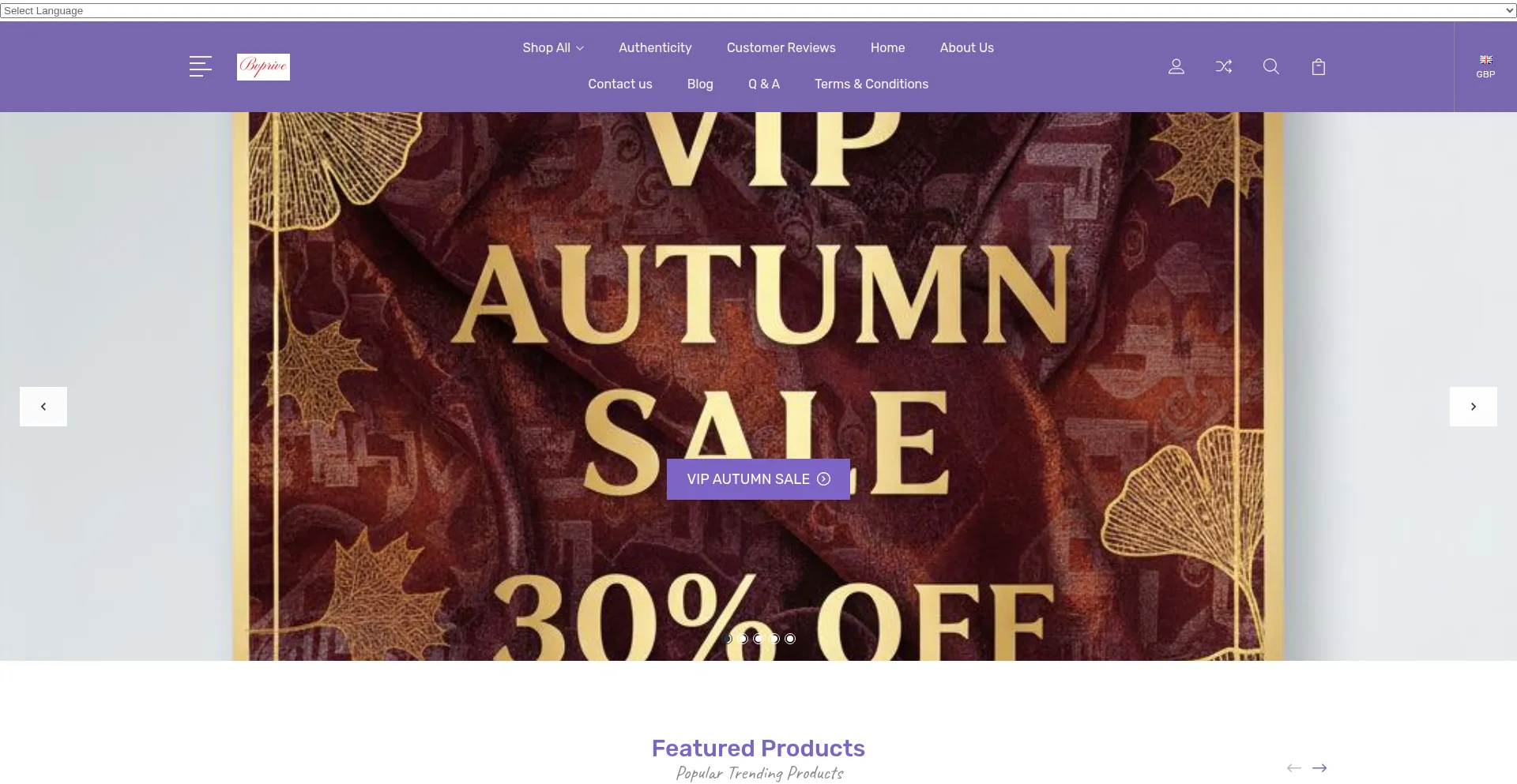 Website screenshot of Bvprive.com