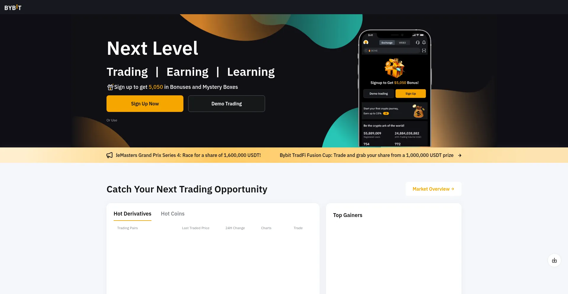 Website screenshot of Bybits.io