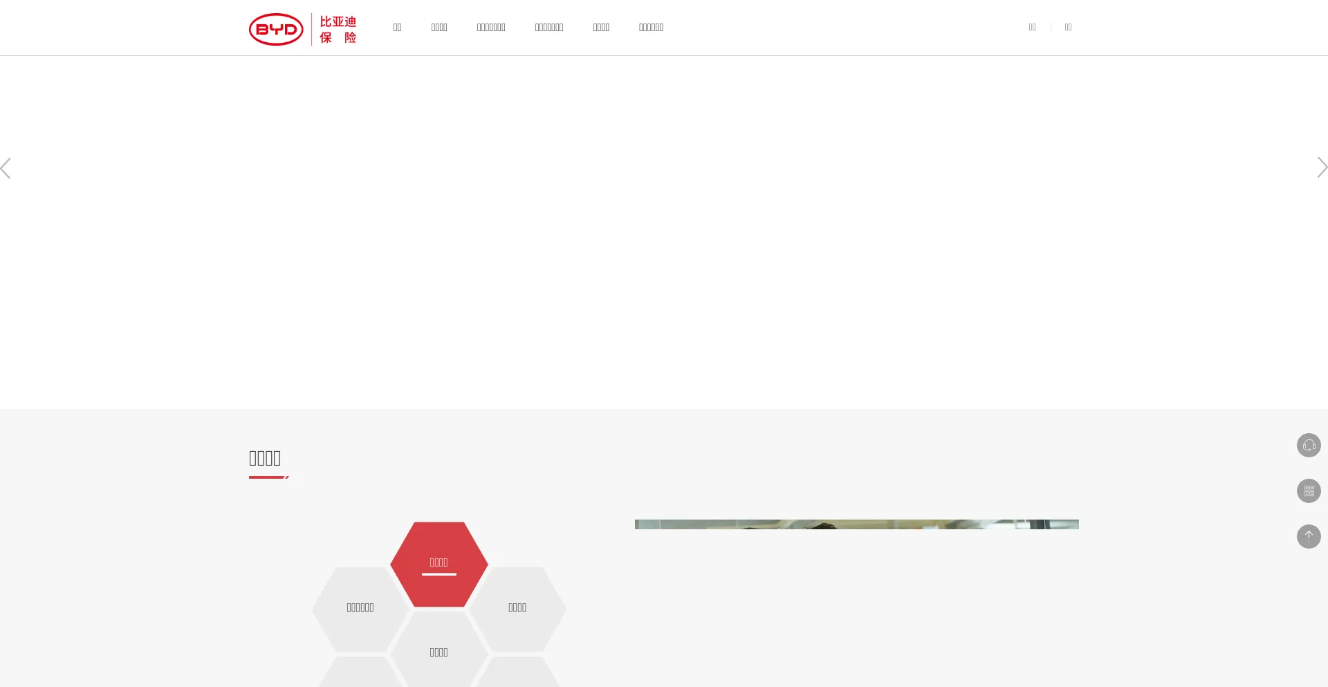 Website screenshot of Bydpcic.com