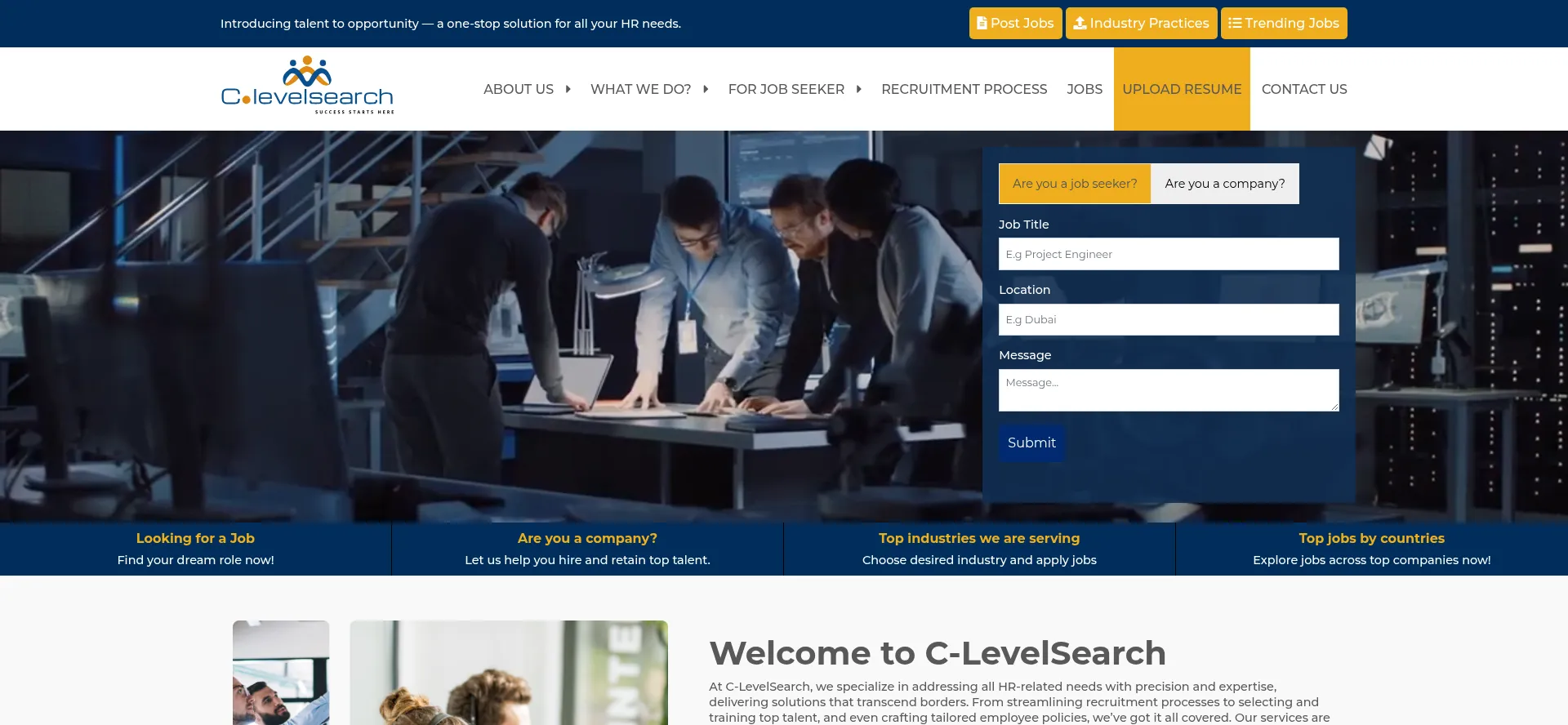 Website screenshot of C-levelsearch.com