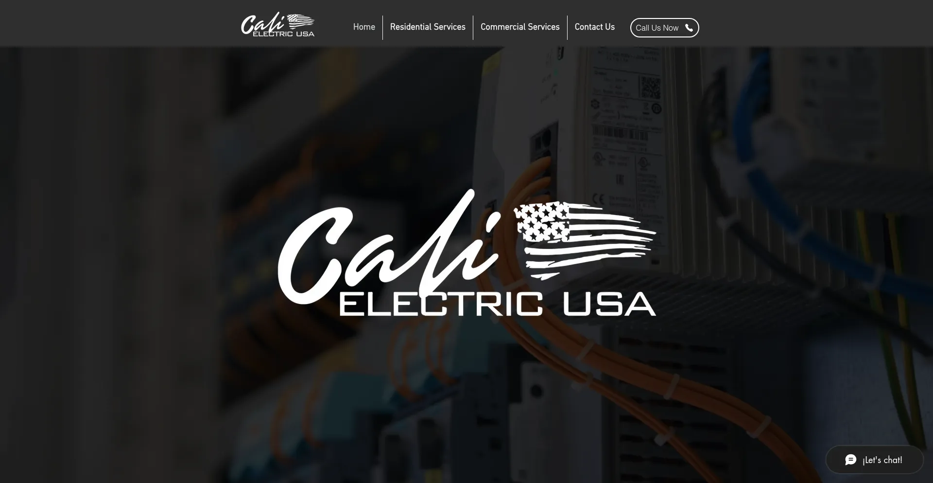 Website screenshot of Calielectricusa.com