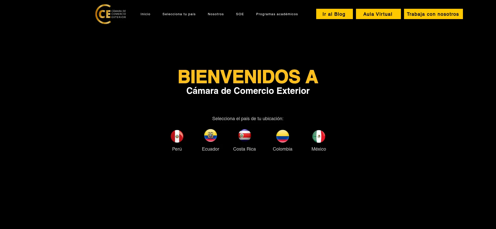 Website screenshot of Camaracomercioexterior.org