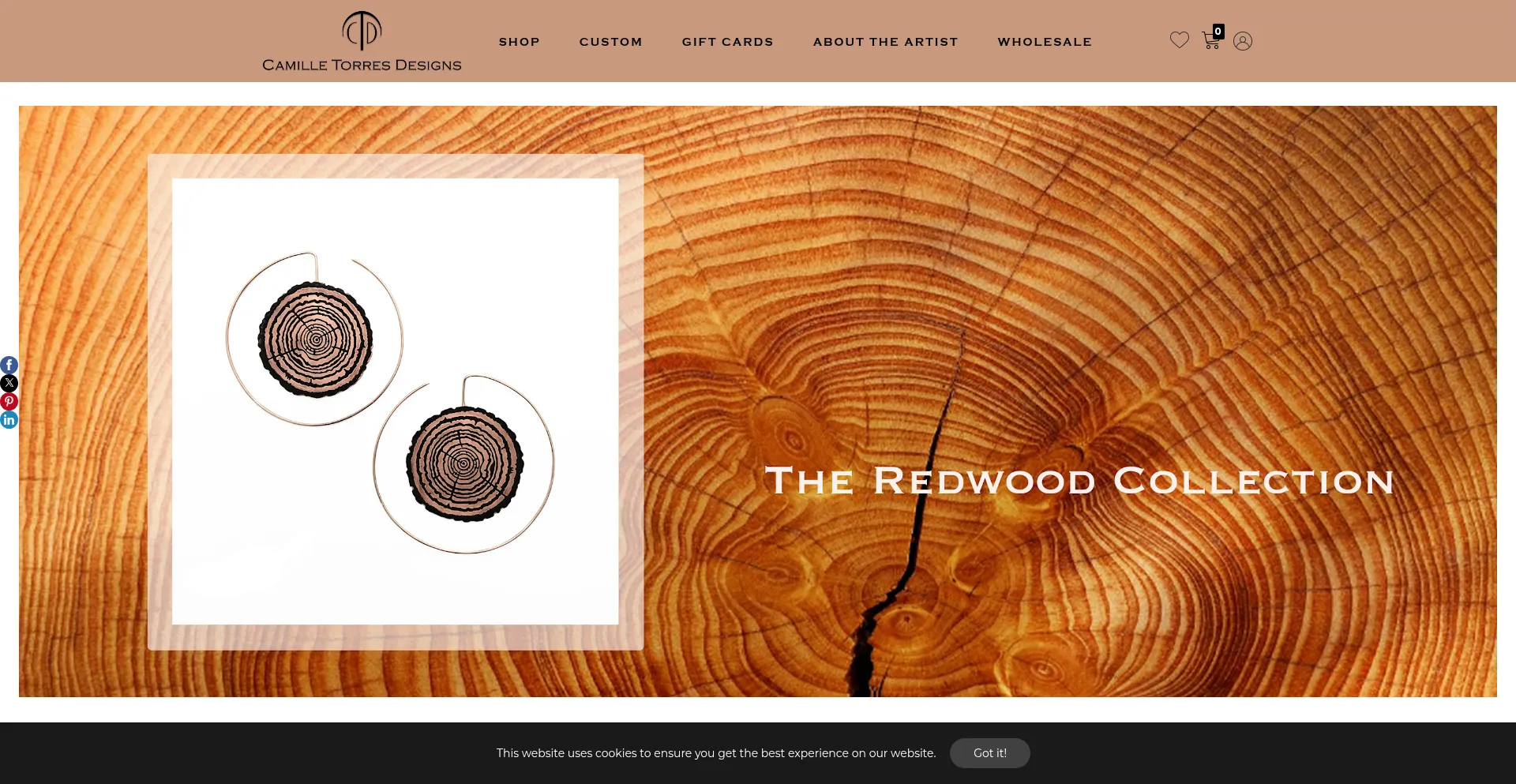 Website screenshot of Camilletorresdesigns.com
