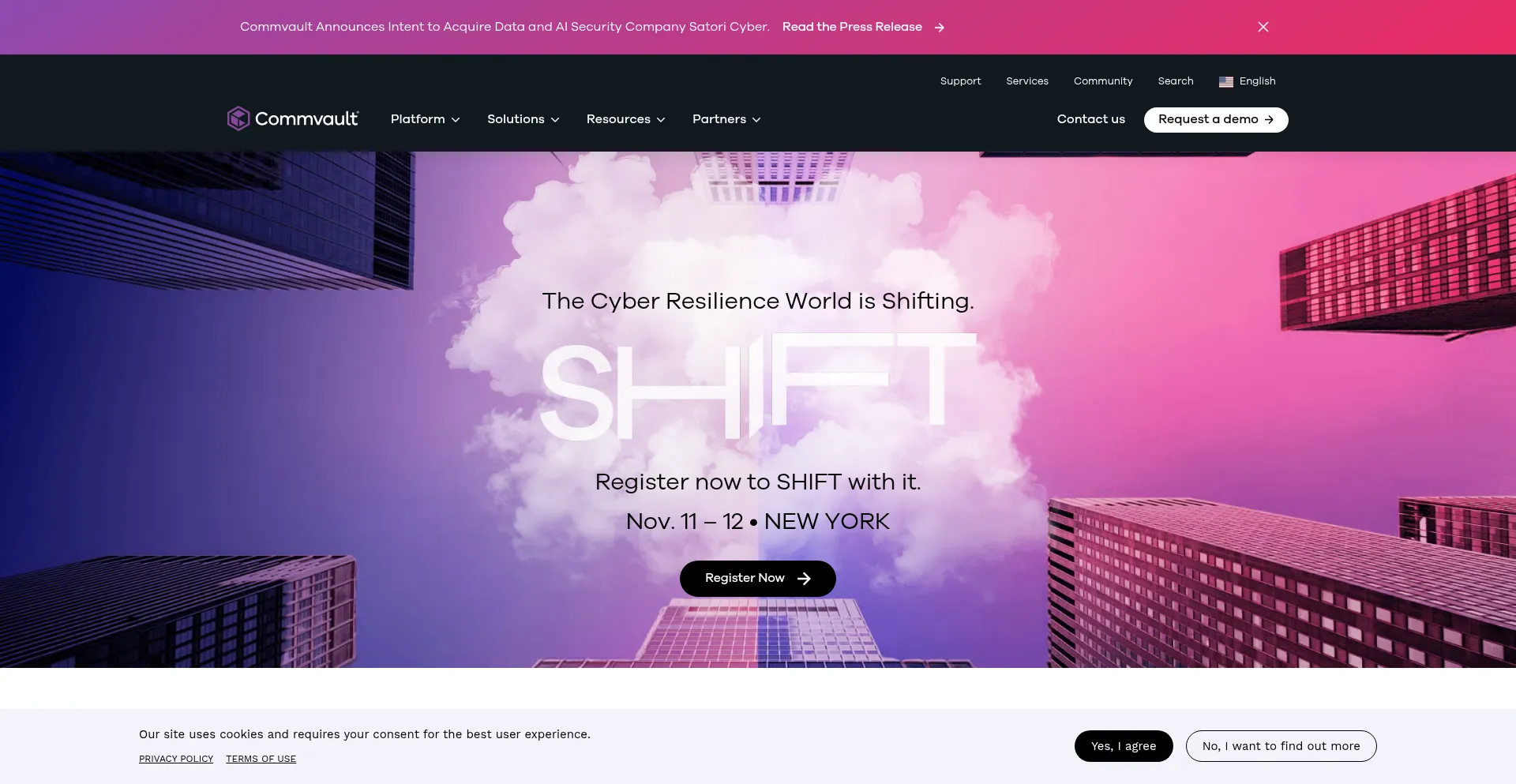 Website screenshot of Camvault.com