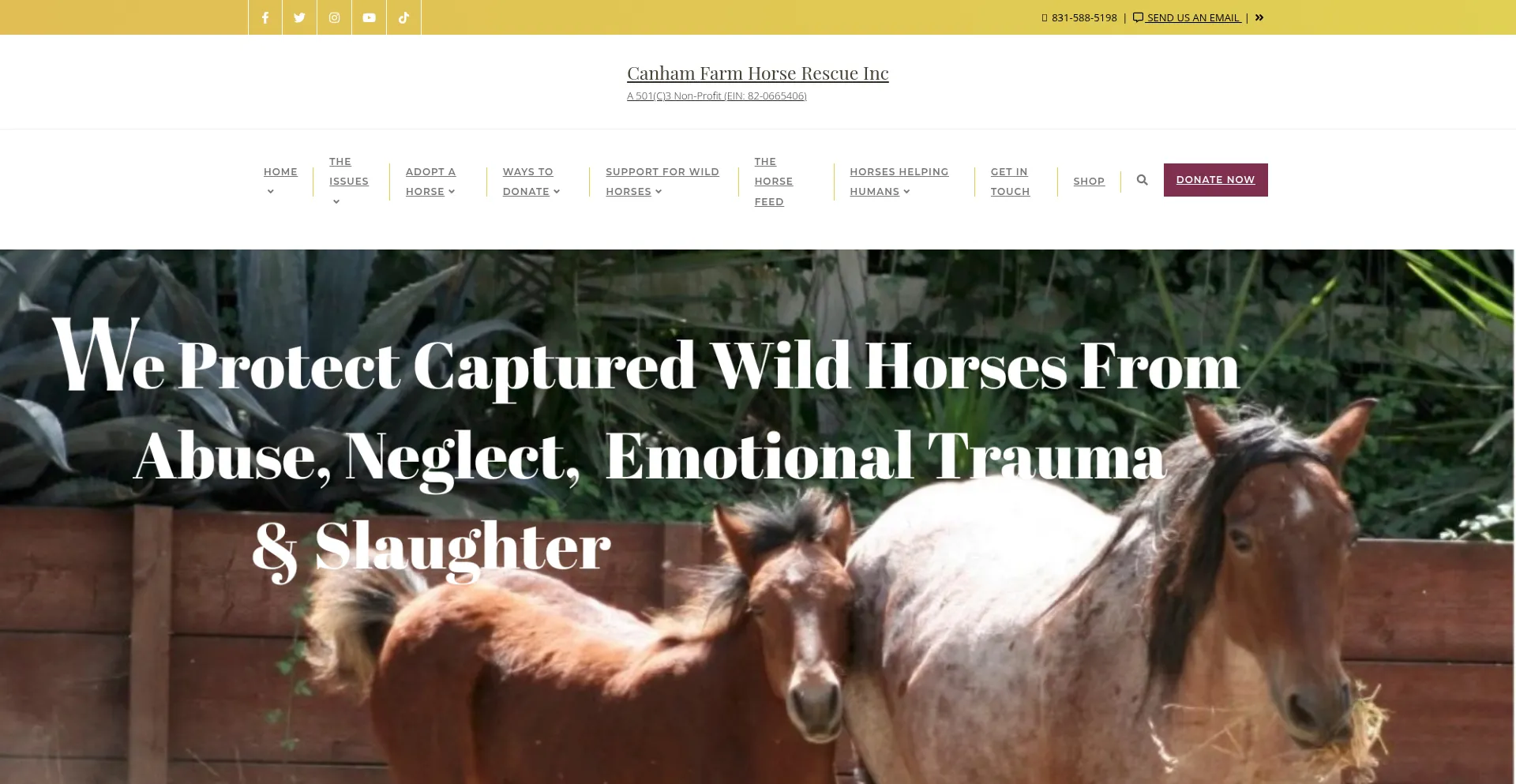 ¿És Seguro y Confiable Canhamfarm.com?