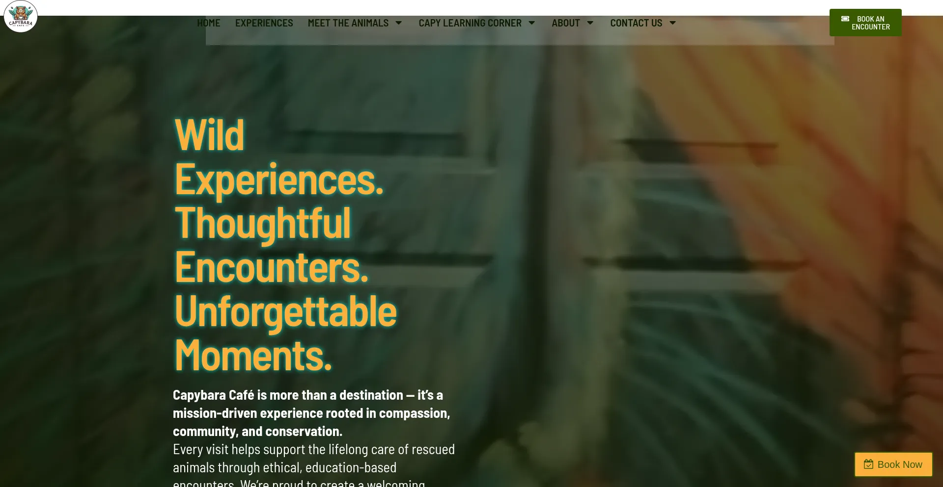 Capybaracafestpete.com