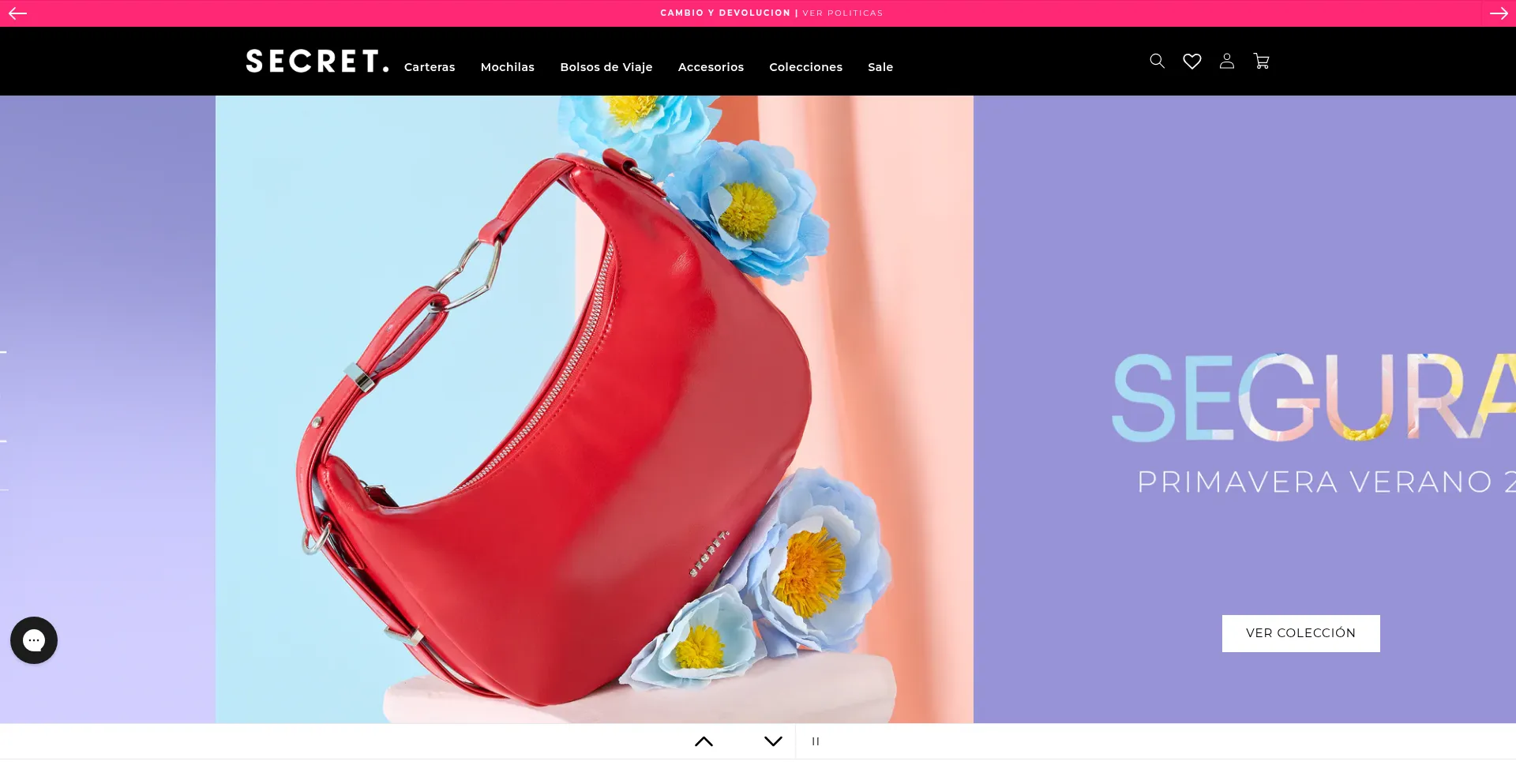 Website screenshot of Carterasecret.cl