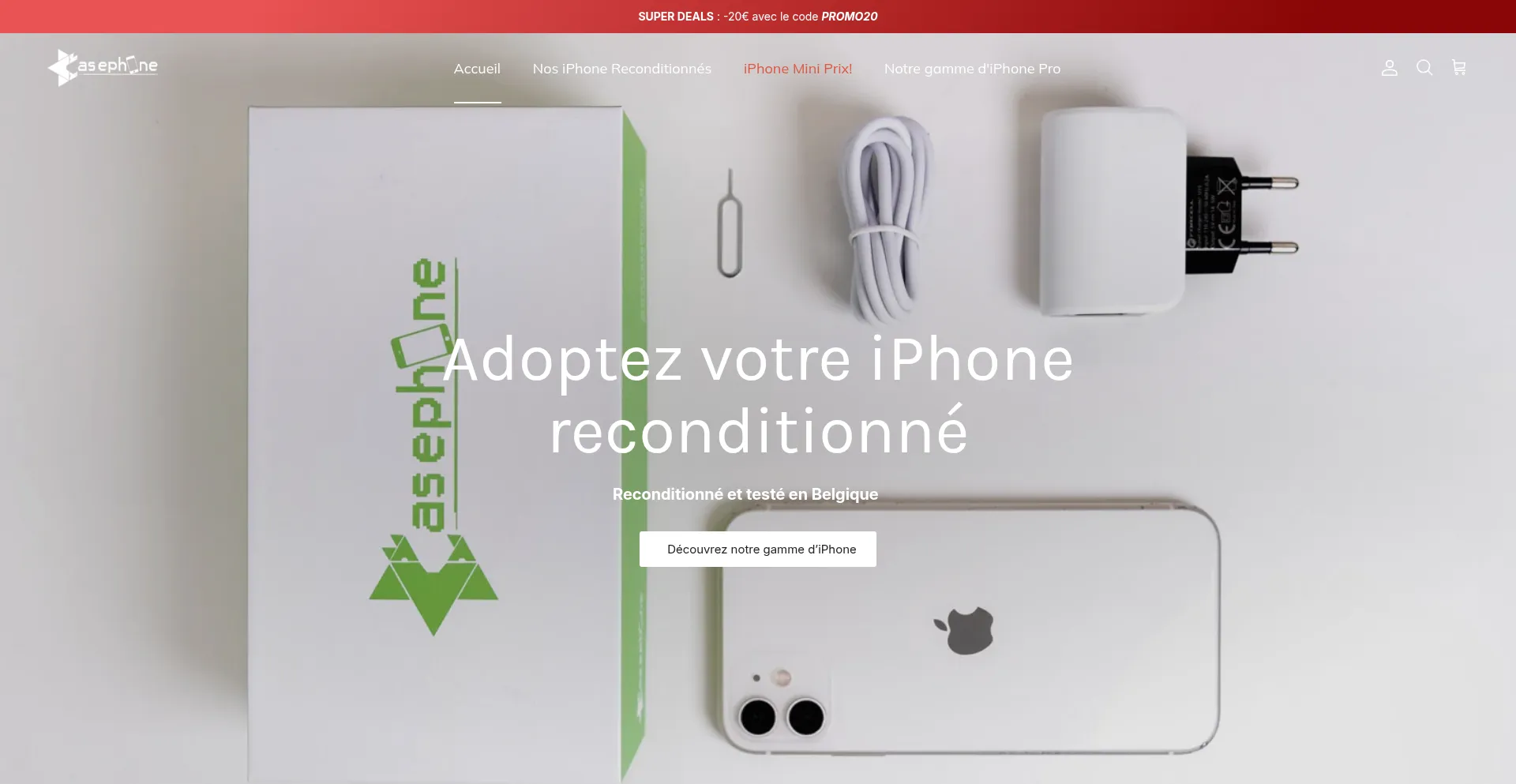 Website screenshot of Casephone.be