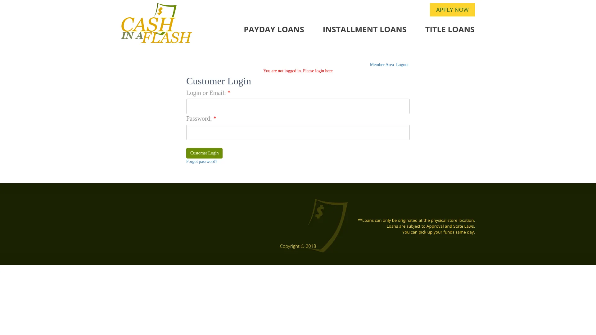Cashinaflashonlinestore.com